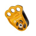 Bloczek DMM HITCH CLIMBER - Eccentric - złoty