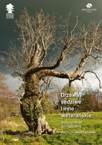 Drzewa sędziwe i inne weterańskie: wytyczne do zarządzania