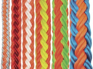 Lina Teufelberger tRex