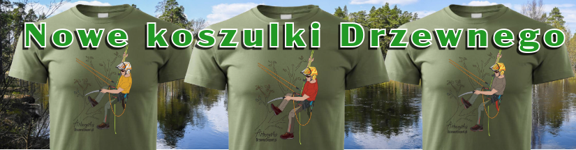 Koszulki Poranna wspinaczka Popołudnie w koronie Wieczorny zjazd