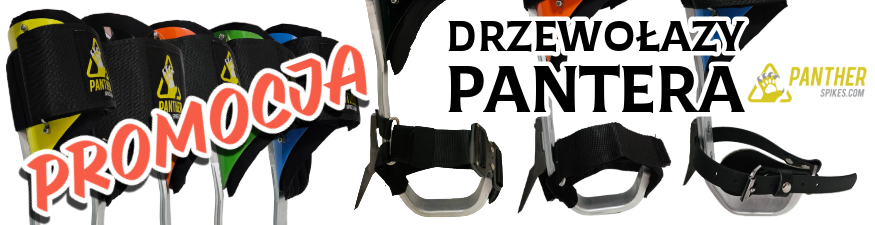 Pantera promocja